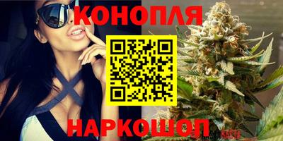 эйфоретик Гусиноозёрск