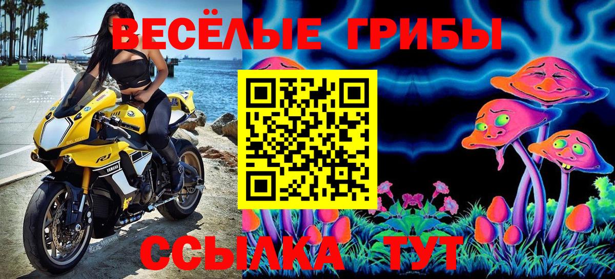 Галлюциногенные грибы MAGIC MUSHROOMS  Вход с VPN  Лабытнанги 